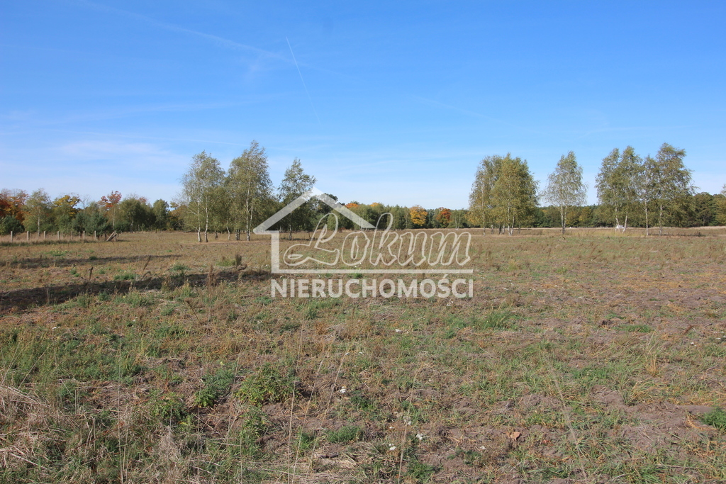 Działka rolna 1500&nbsp;m², Grzepnica - zdjęcie 5