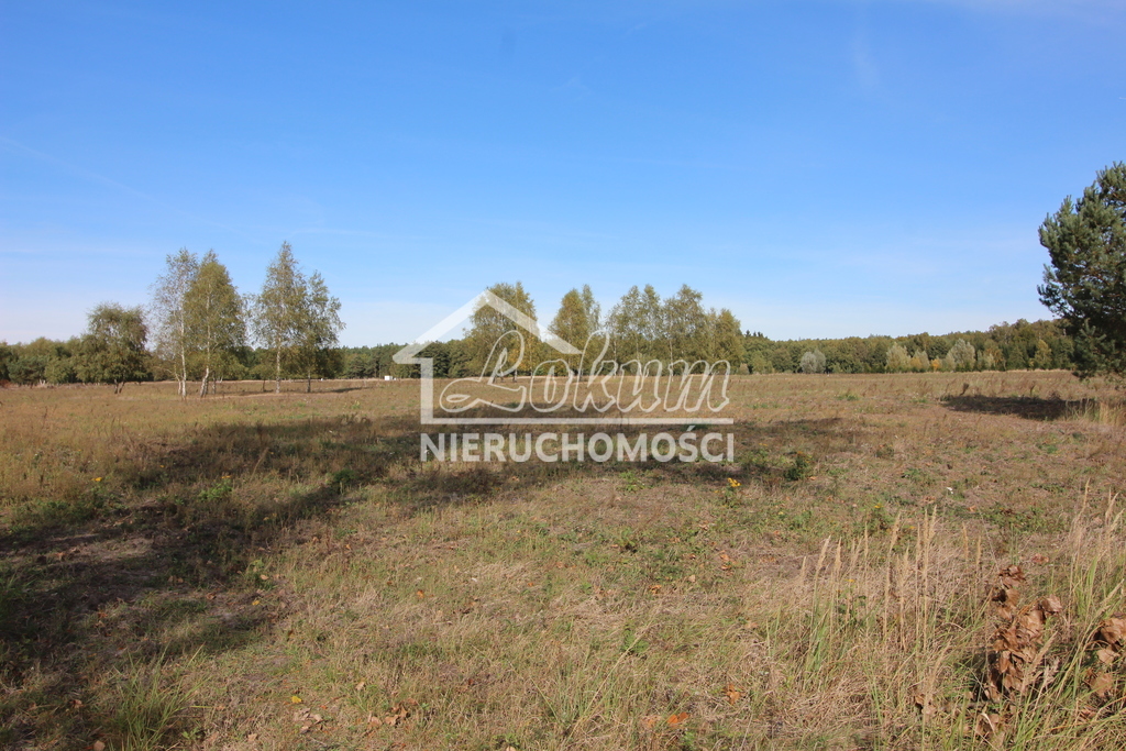 Działka rolna 1500&nbsp;m², Grzepnica - zdjęcie 1