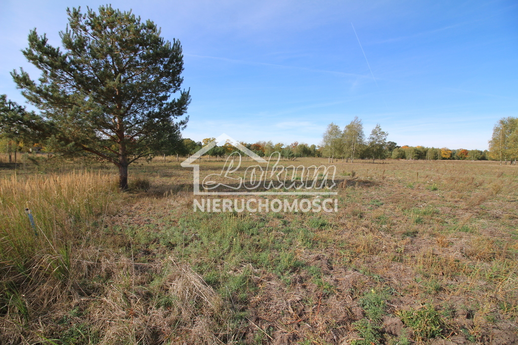 Działka rolna 1500&nbsp;m², Grzepnica - zdjęcie 2