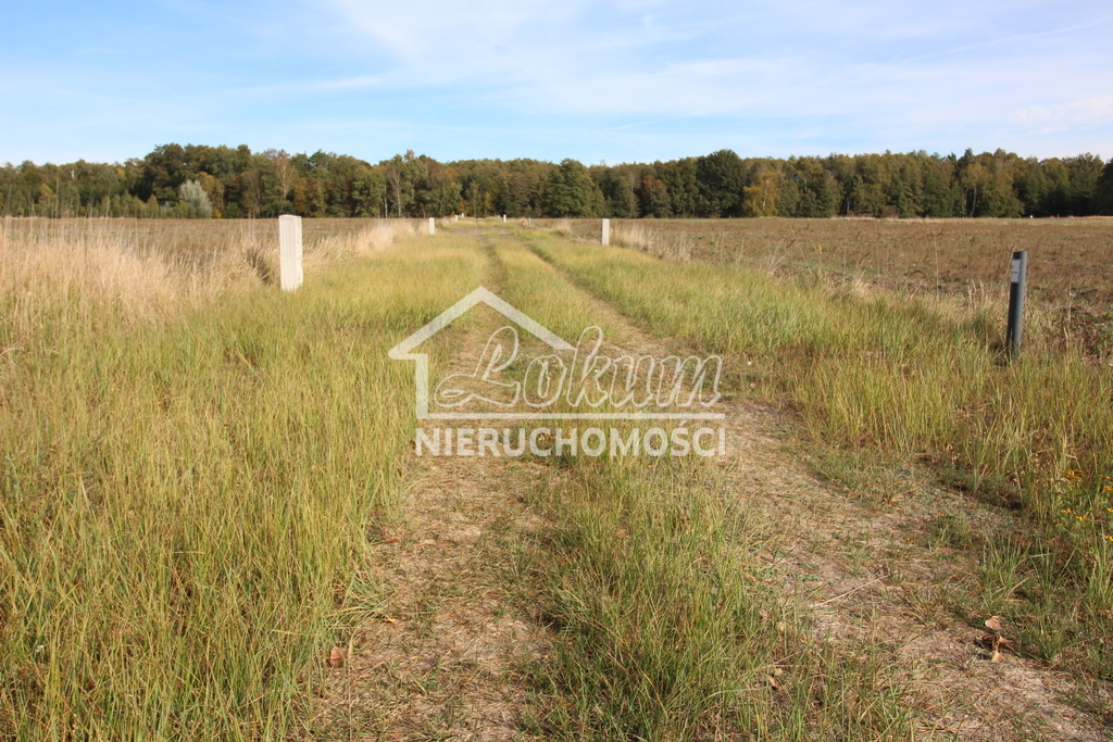 Działka rolna 1500&nbsp;m², Grzepnica - zdjęcie 3