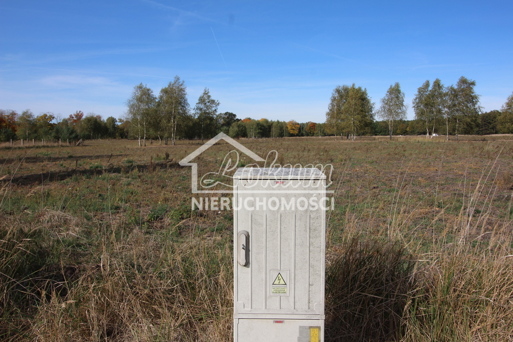 Działka rolna 1500&nbsp;m², Grzepnica - zdjęcie 4