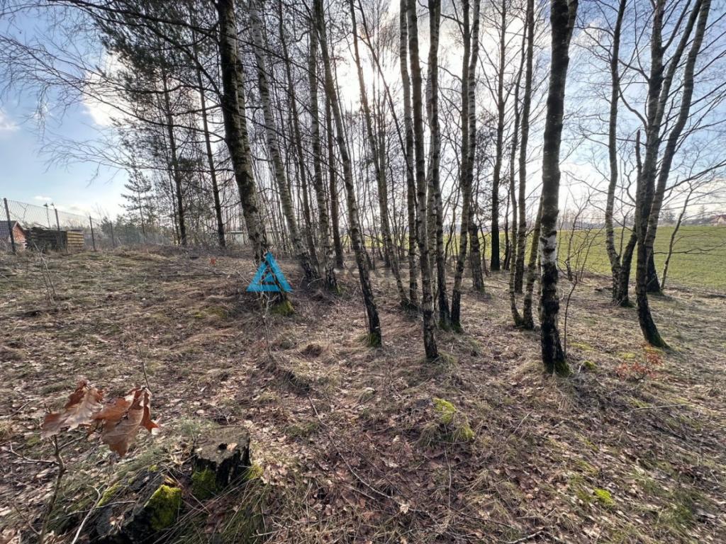 działka 818m2 - zdjęcie 3
