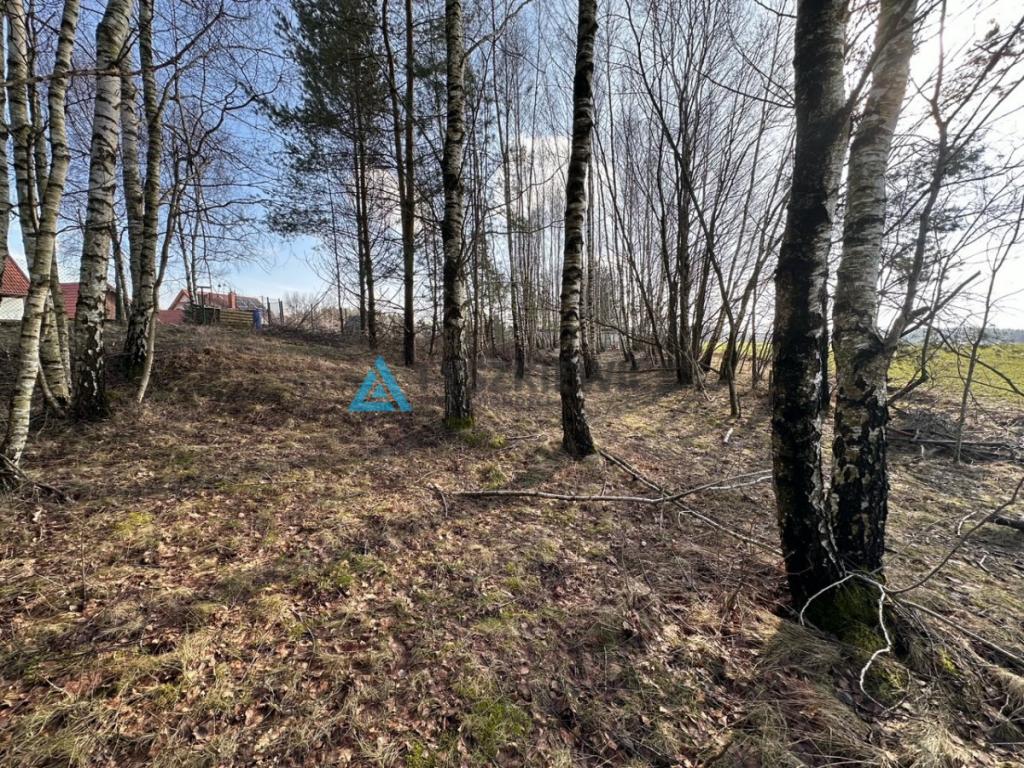działka 818m2 - zdjęcie 5