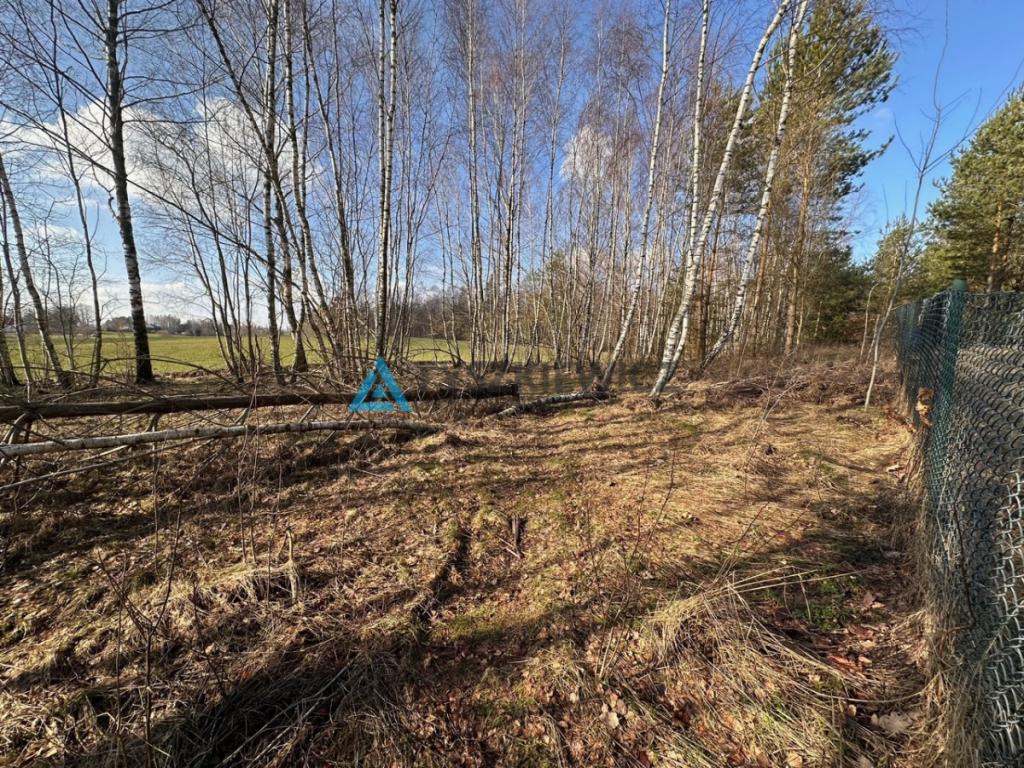 działka 818m2 - zdjęcie 2