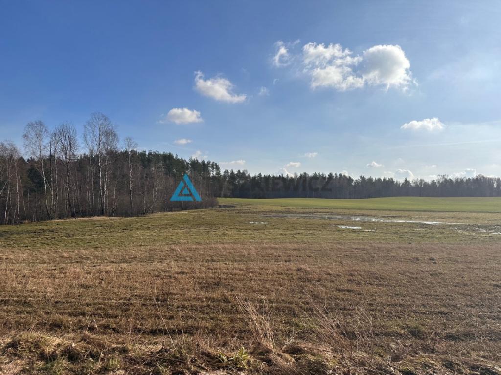 działka 818m2 - zdjęcie 7