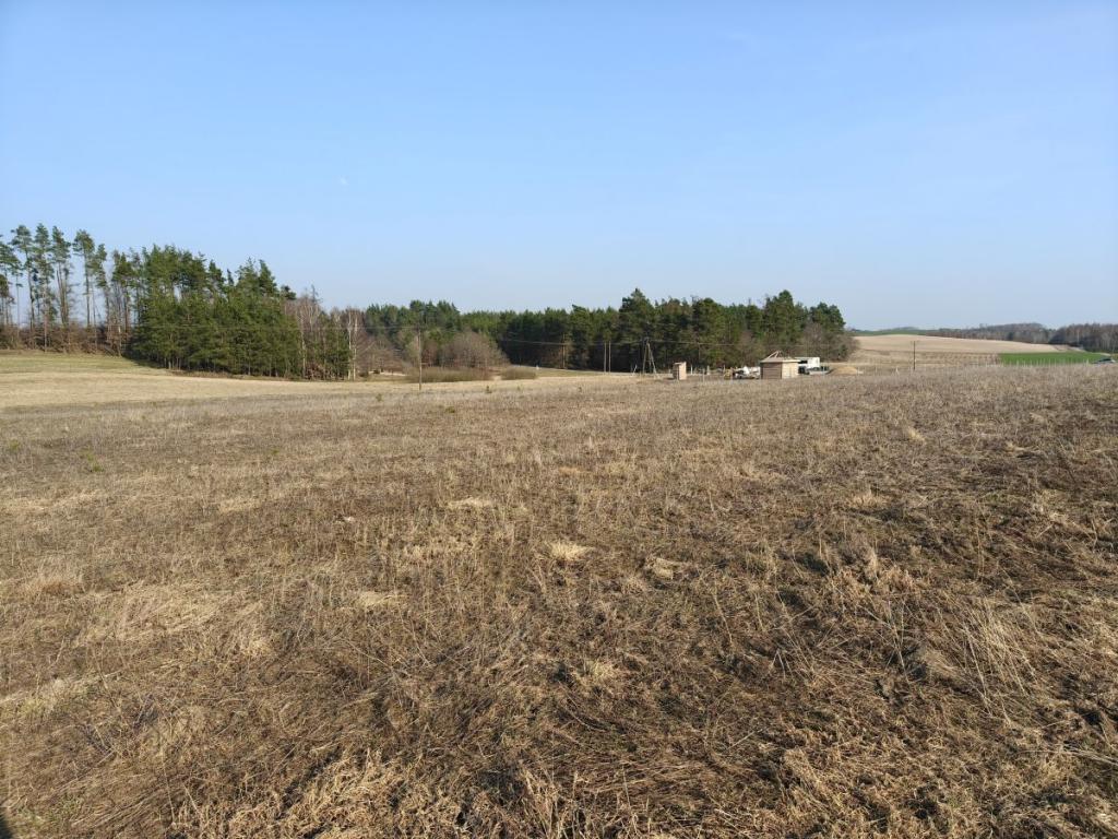 REZERWACJA - zdjęcie 5