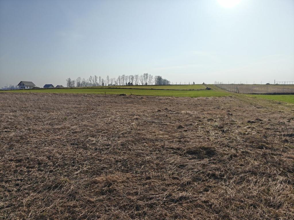 REZERWACJA - zdjęcie 7