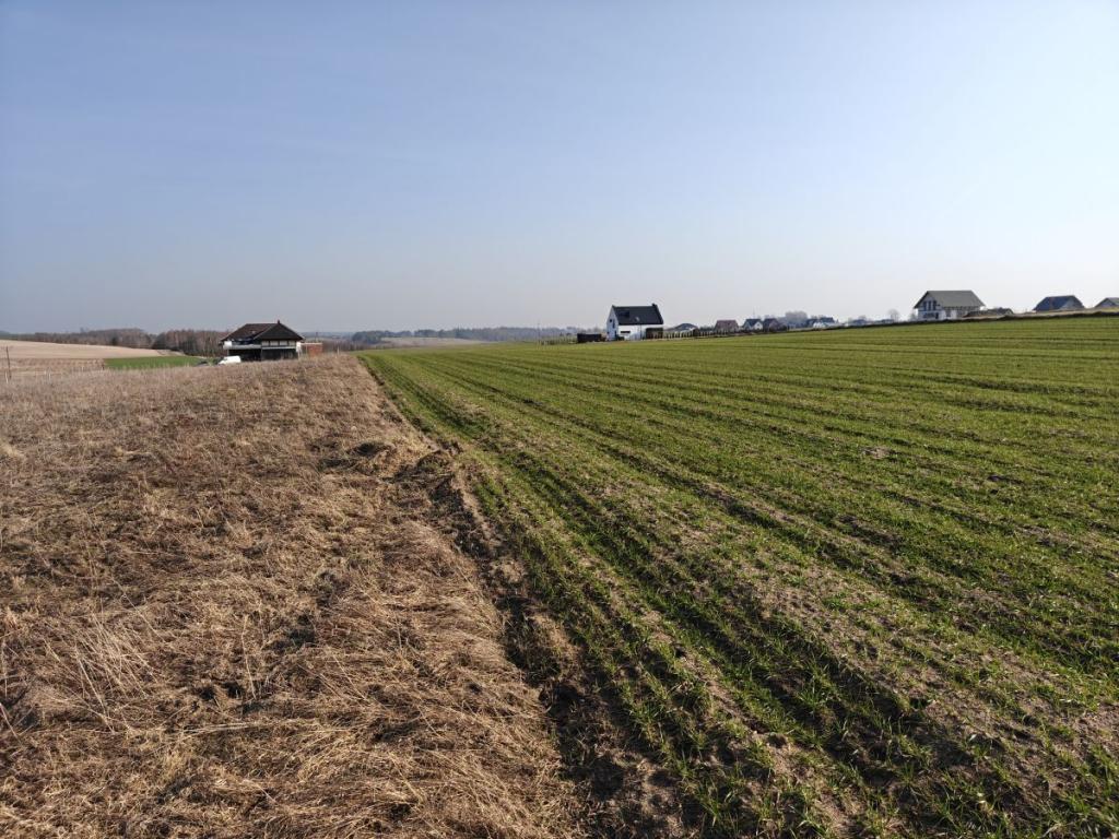 REZERWACJA - zdjęcie 6