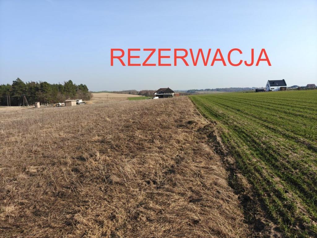 REZERWACJA - zdjęcie 1