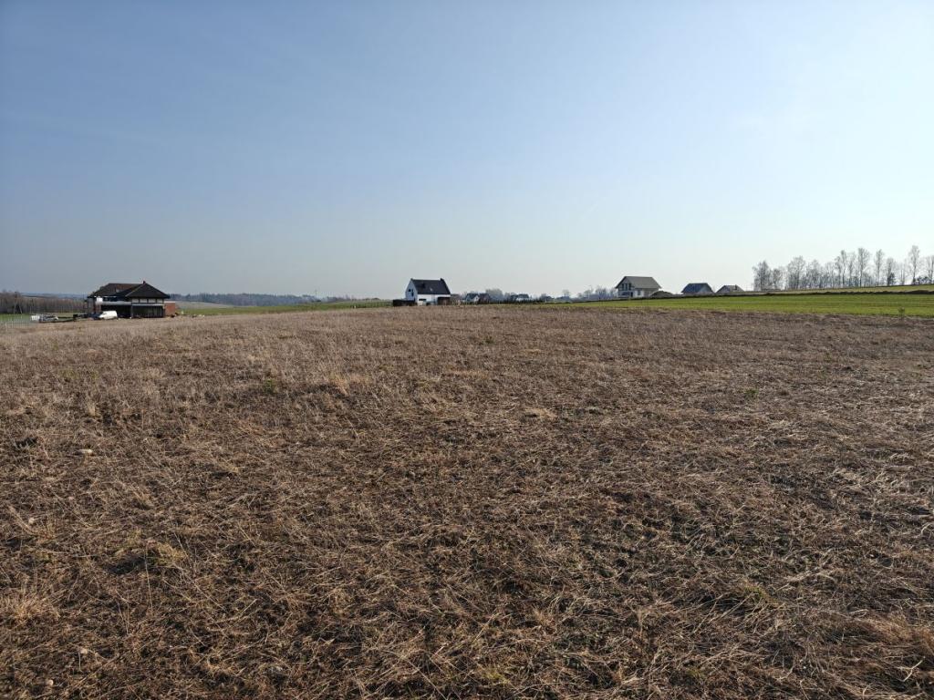 REZERWACJA - zdjęcie 8