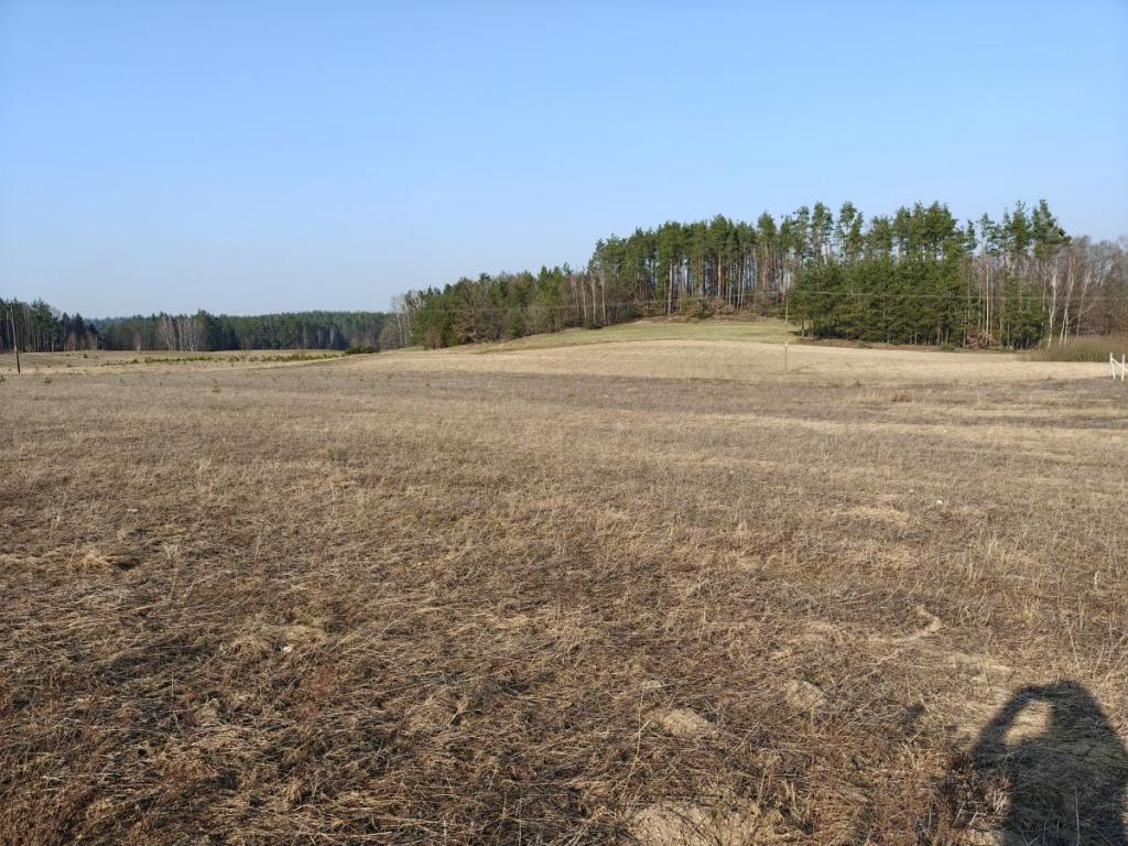 REZERWACJA - zdjęcie 4