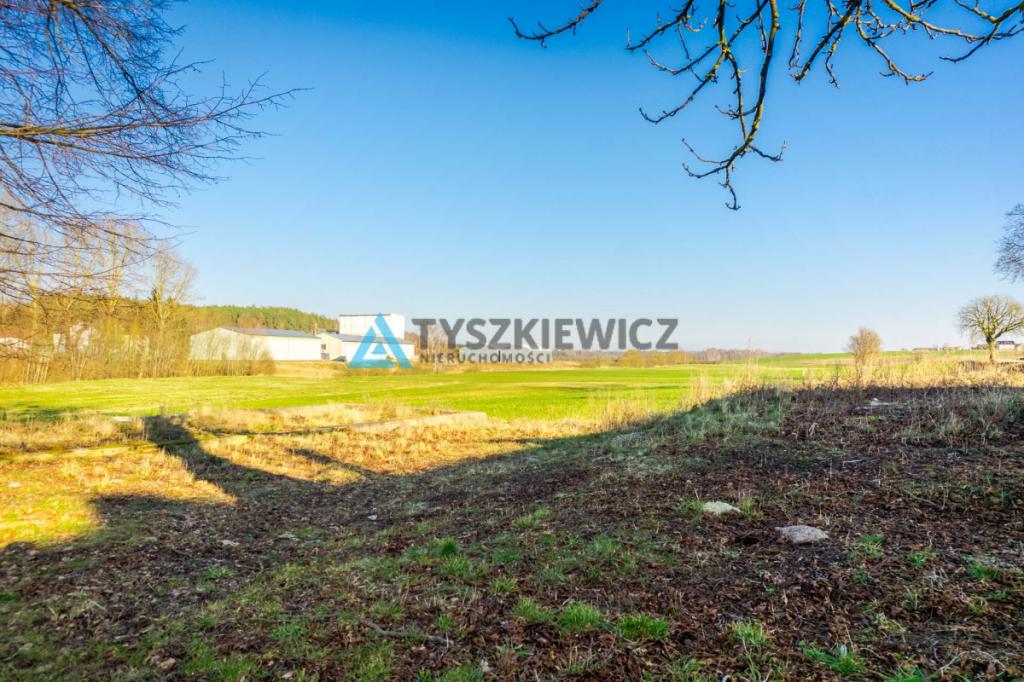 Piękna siedliskowa działka z możliwością zabudowy. - zdjęcie 9