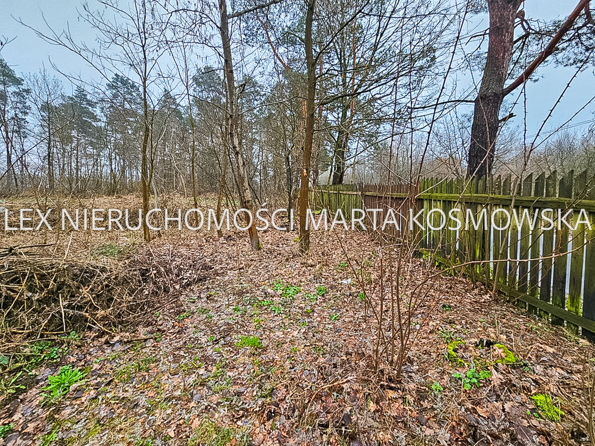 Mszczonów, działka o pow. 10500 m - zdjęcie 1