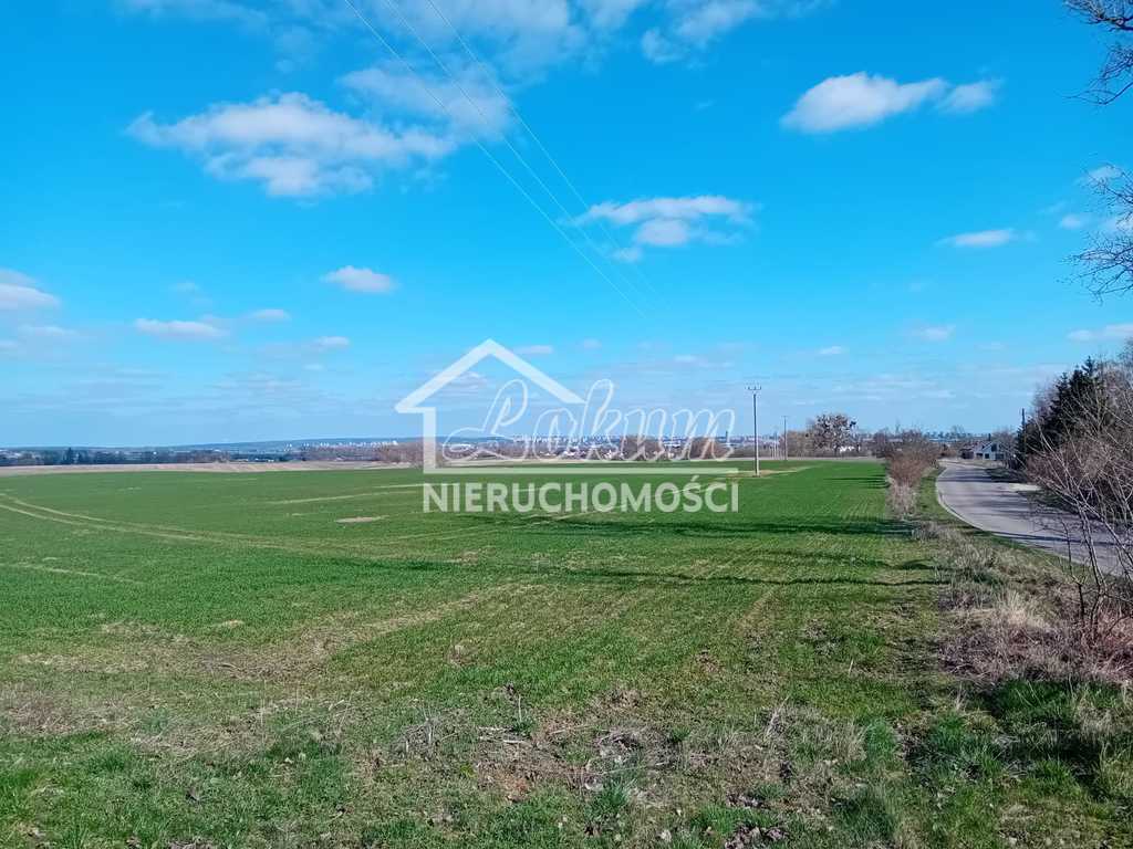 Działka rolna 5000&nbsp;m², Karwowo - zdjęcie 3