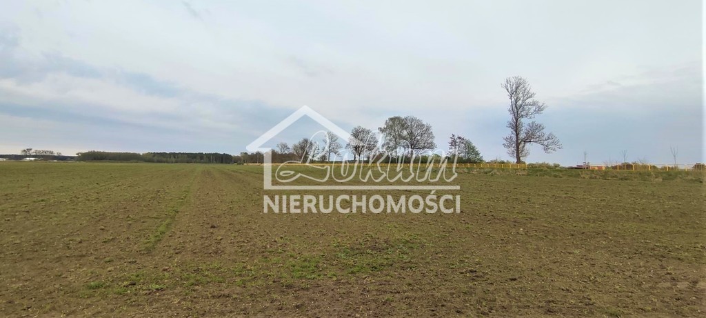 Działka budowlana 7387&nbsp;m², Lubczyna - zdjęcie 4
