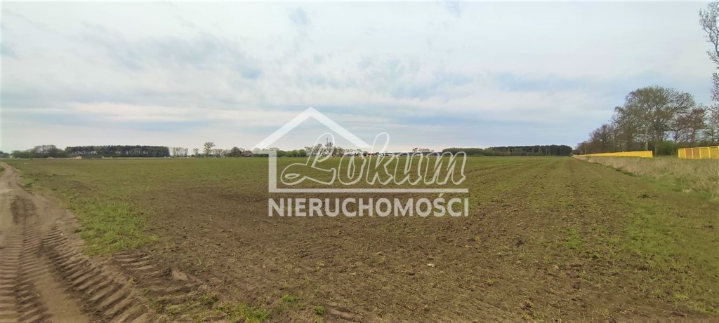 Działka budowlana 7387&nbsp;m², Lubczyna - zdjęcie 2