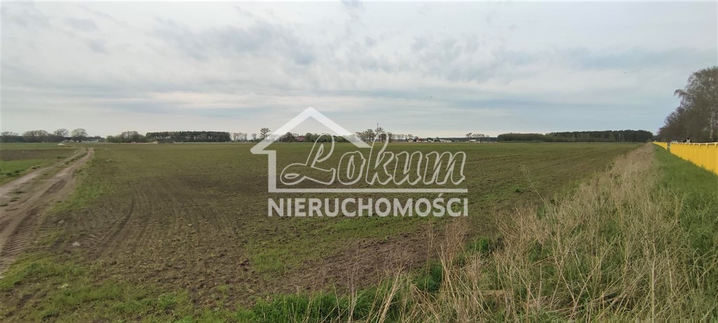 Działka budowlana 7387&nbsp;m², Lubczyna - zdjęcie 1