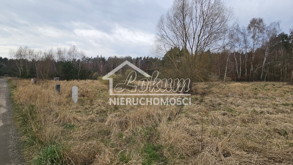 Działka budowlana 2938&nbsp;m², Dołuje - zdjęcie 6