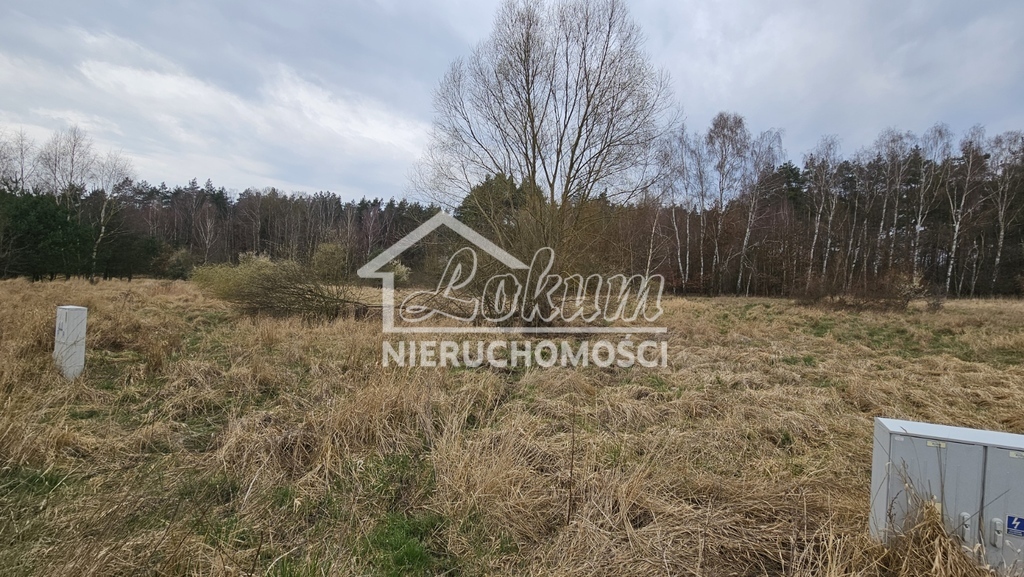 Działka budowlana 2938&nbsp;m², Dołuje - zdjęcie 7
