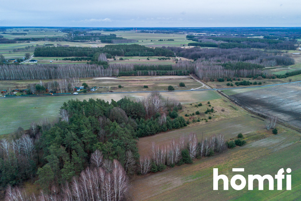 Działka budowlana 1,11&nbsp;ha, Zakrzówek-Kolonia - zdjęcie 16
