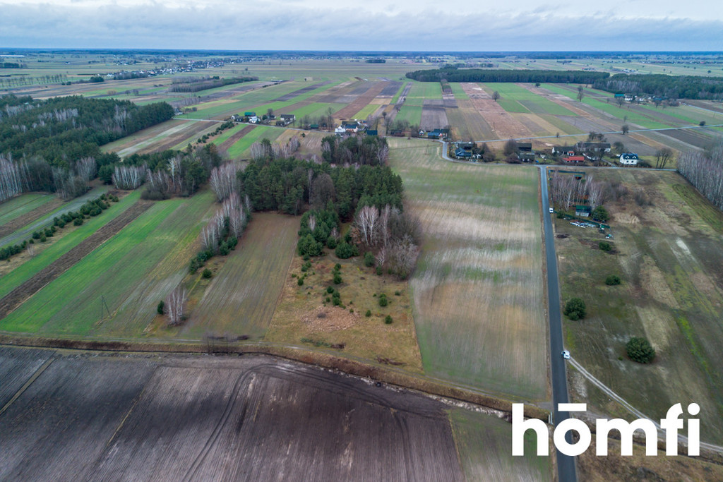 Działka budowlana 1,11&nbsp;ha, Zakrzówek-Kolonia - zdjęcie 12