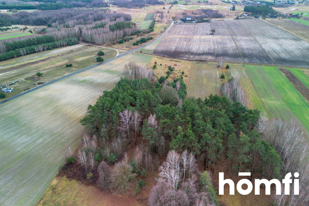 Działka budowlana 1,11&nbsp;ha, Zakrzówek-Kolonia - zdjęcie 8