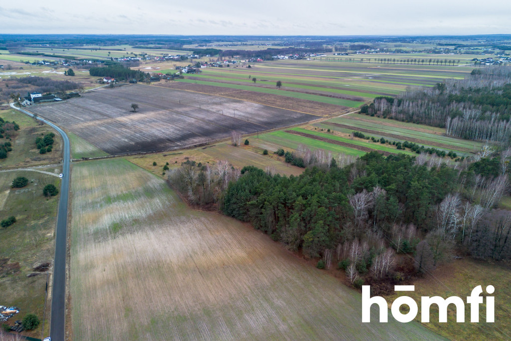 Działka budowlana 1,11&nbsp;ha, Zakrzówek-Kolonia - zdjęcie 9