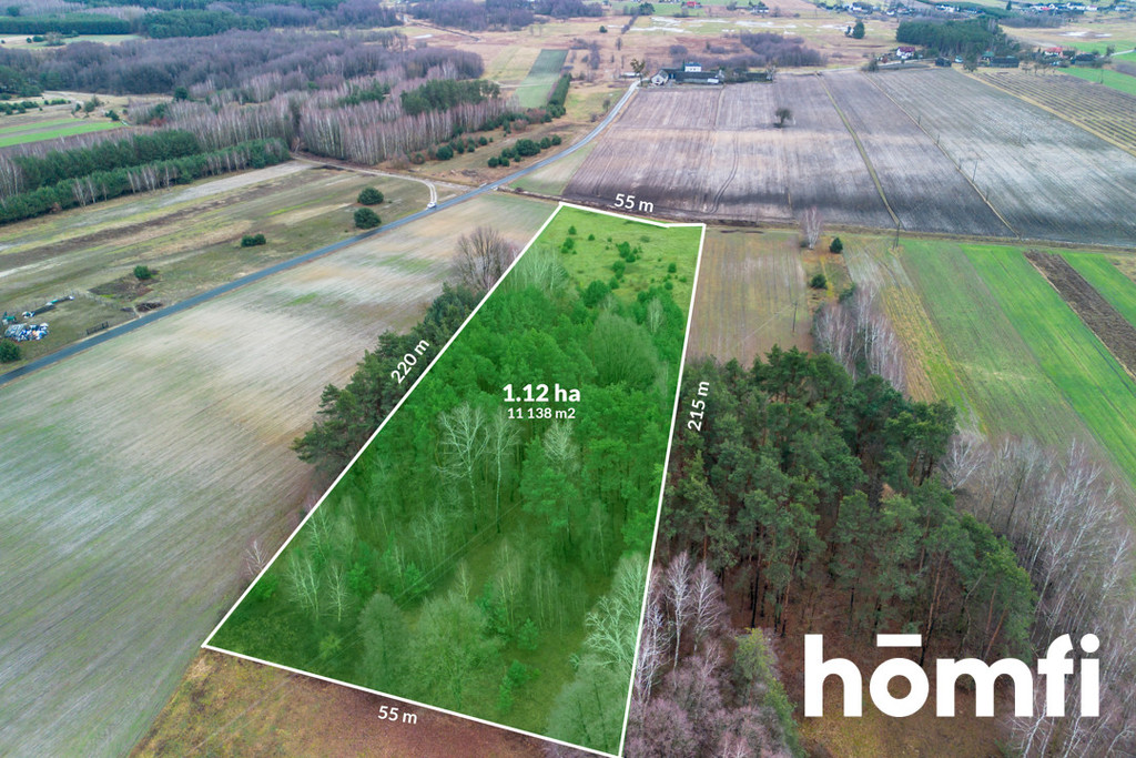 Działka budowlana 1,11&nbsp;ha, Zakrzówek-Kolonia - zdjęcie 5