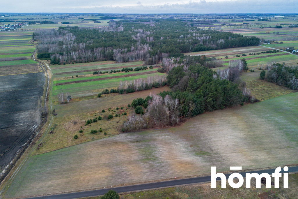 Działka budowlana 1,11&nbsp;ha, Zakrzówek-Kolonia - zdjęcie 6