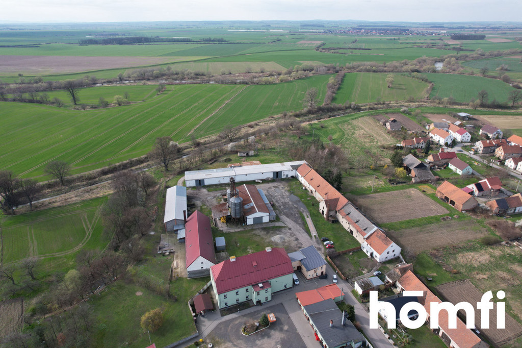 Magazyn na sprzedaż, 1600 m², Bielice - zdjęcie 4