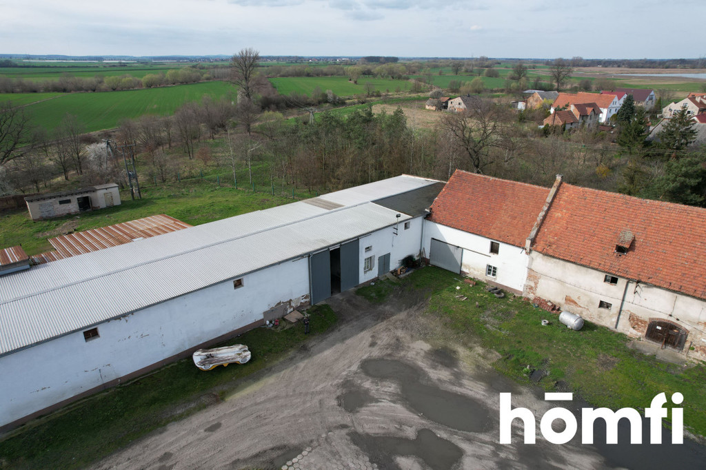 Magazyn na sprzedaż, 1600 m², Bielice - zdjęcie 10