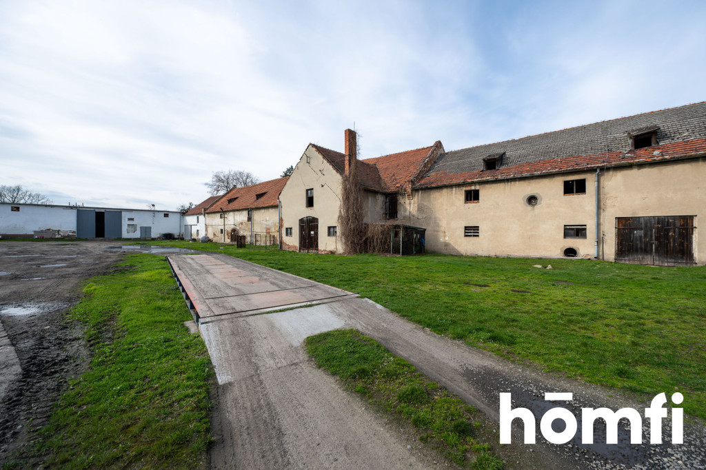 Magazyn na sprzedaż, 1600 m², Bielice - zdjęcie 15