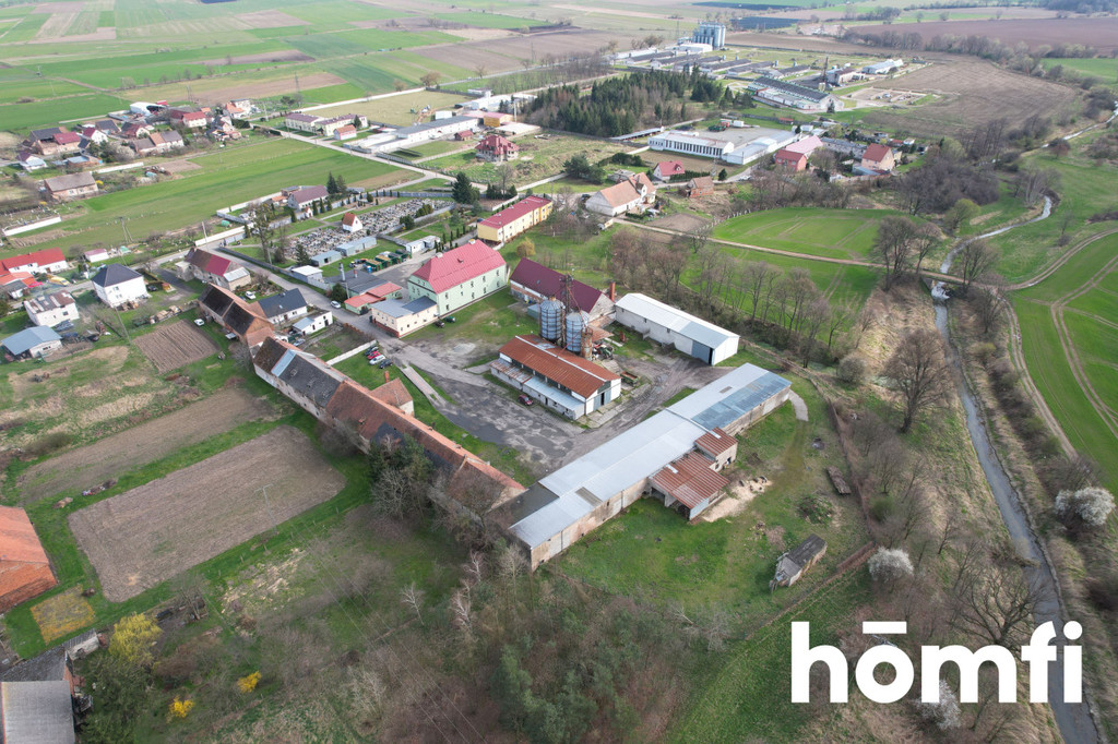Magazyn na sprzedaż, 1600 m², Bielice - zdjęcie 2