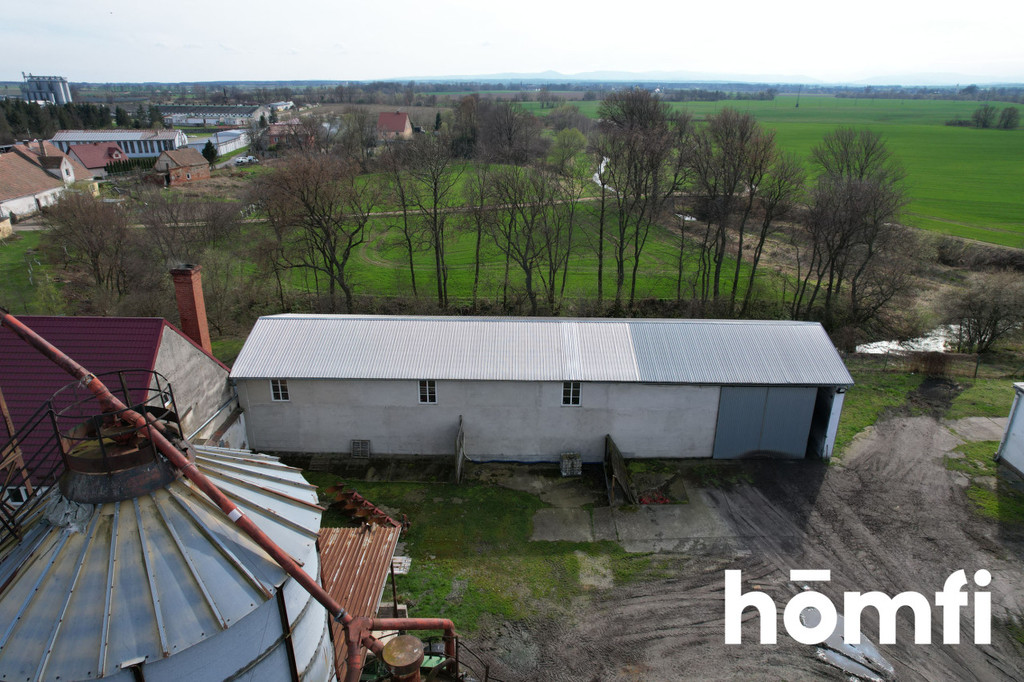 Magazyn na sprzedaż, 1600 m², Bielice - zdjęcie 12