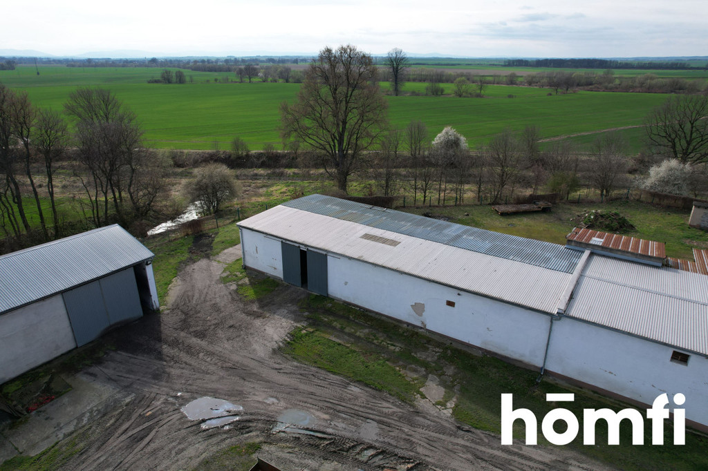 Magazyn na sprzedaż, 1600 m², Bielice - zdjęcie 11