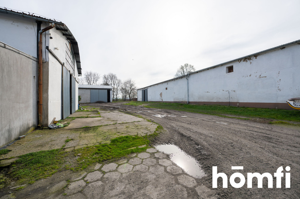 Magazyn na sprzedaż, 1600 m², Bielice - zdjęcie 16