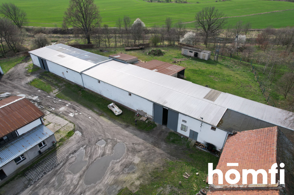 Magazyn na sprzedaż, 1600 m², Bielice - zdjęcie 6