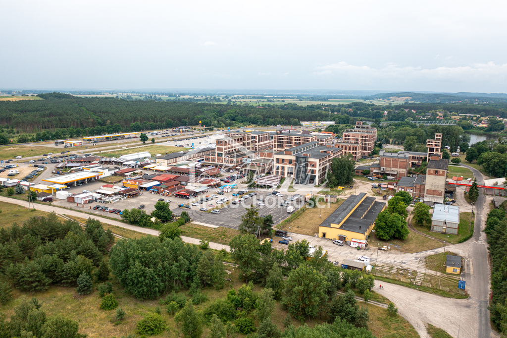 Magazyn na sprzedaż, 1462 m², Osinów Dolny - zdjęcie 3