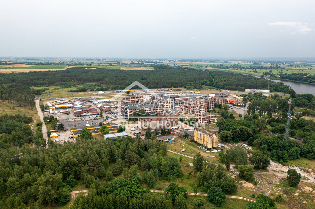 Magazyn na sprzedaż, 1462 m², Osinów Dolny - zdjęcie 5