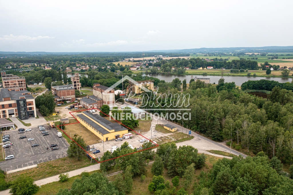Magazyn na sprzedaż, 1462 m², Osinów Dolny - zdjęcie 1