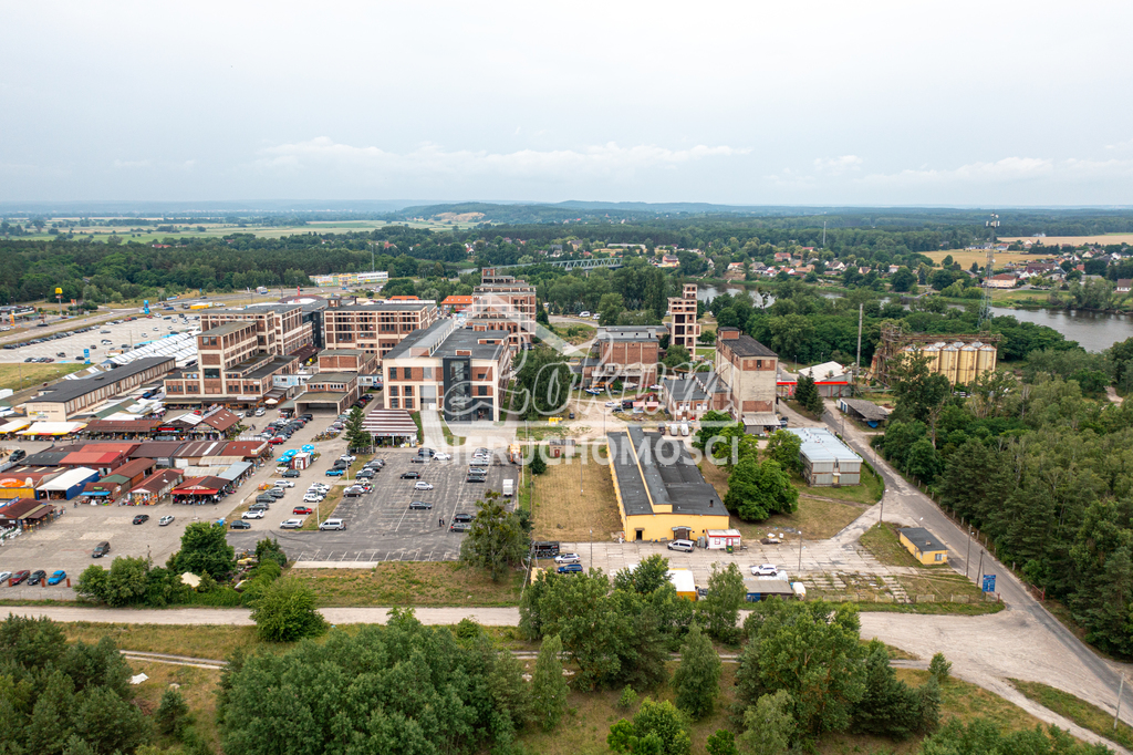 Magazyn na sprzedaż, 1462 m², Osinów Dolny - zdjęcie 2