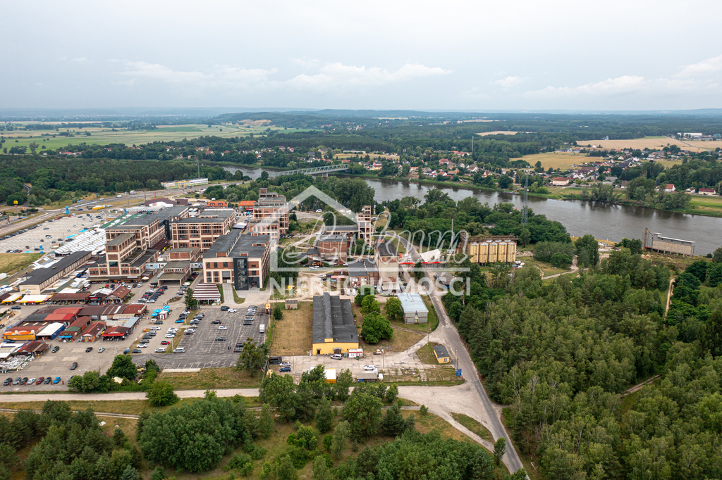 Magazyn na sprzedaż, 1462 m², Osinów Dolny - zdjęcie 4