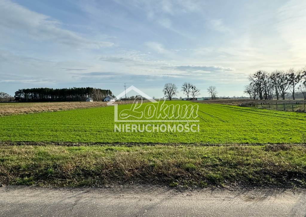 Działka rolna 1,01&nbsp;ha, Borzysławiec - zdjęcie 1