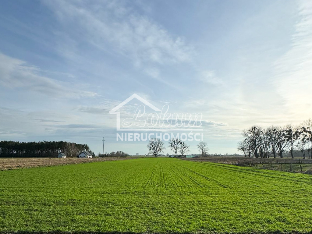 Działka rolna 1,01&nbsp;ha, Borzysławiec - zdjęcie 2