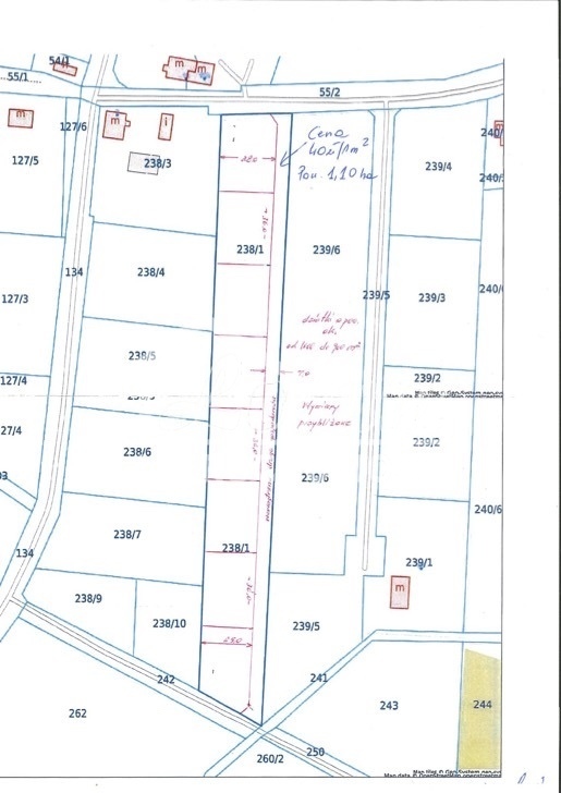 Działka rolna 1,01&nbsp;ha, Borzysławiec - zdjęcie 3