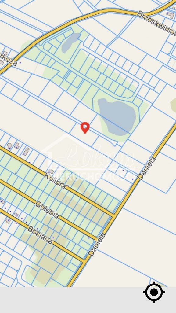 Działka rolna 1242&nbsp;m², Dołuje - zdjęcie 3