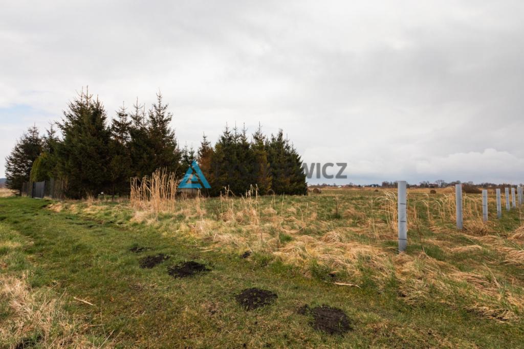 Działka Karwieńskie Błota II 434 m2 - zdjęcie 9