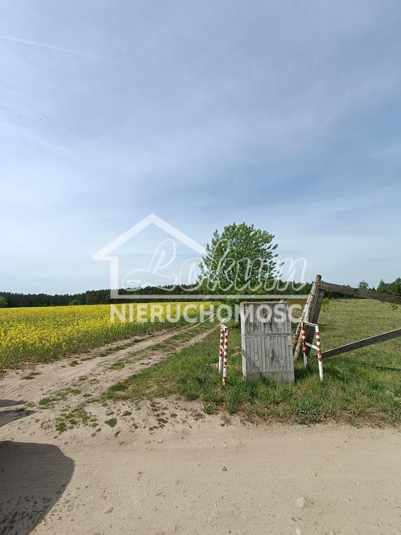 Działka rolna 1304&nbsp;m², Stawno - zdjęcie 3