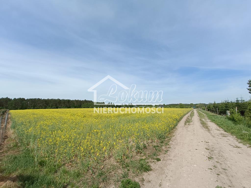 Działka rolna 1304&nbsp;m², Stawno - zdjęcie 4