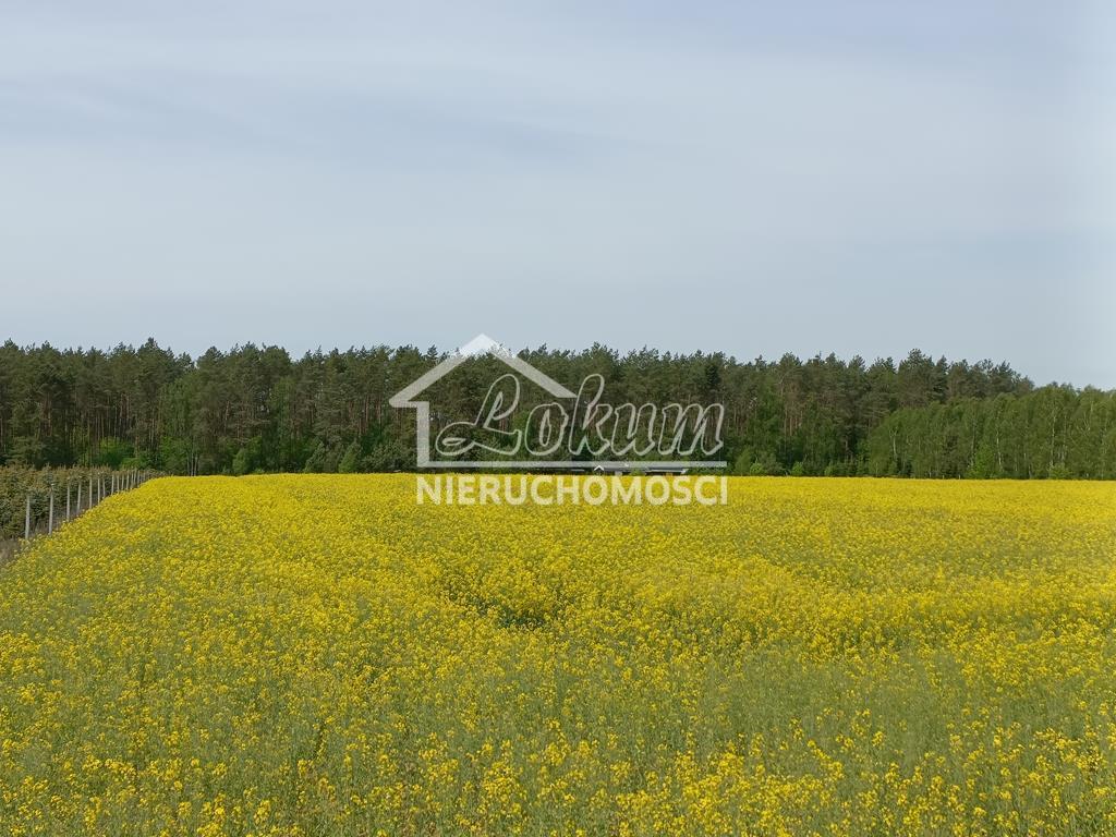 Działka rolna 1304&nbsp;m², Stawno - zdjęcie 5